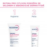Bioderma Sensibio DS+ krém 40 ml – Zboží Mobilmania