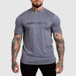 Aesthetics pánské sportovní tričko Iron Flow navy – Zboží Dáma