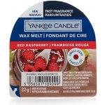 Yankee vonný vosk do aroma lampy Candle Warm Cashmere 22 g – Hledejceny.cz