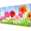 Obraz akrylový obraz Květiny tráva Rostlina 100x50 cm