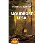 Moudrost lesa - Peter Wohlleben – Zbozi.Blesk.cz