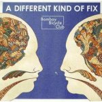 Bombay Bicycle Club - A Different Kind Of Fix LP – Hledejceny.cz