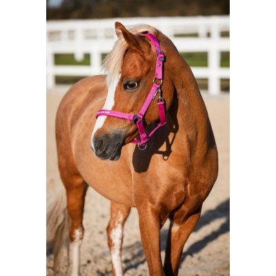 HorseGuard Horseguard Ohlávka hříběcí Malva phlox růžová – Sleviste.cz