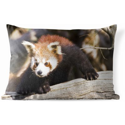 MuchoWow Vnější polštář Panda červená Kufr Zvíře 50x30 – Zboží Mobilmania