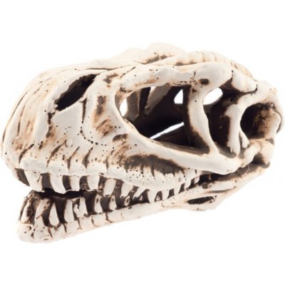 Aqua Nova Dinosauří lebka 14x7x7 cm – Zboží Mobilmania