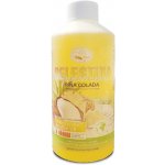 Missiva Celestina Piňa colada 0,5 l – HobbyKompas.cz