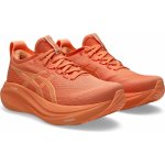 Asics Gel-nimbus 27 Lite-show 1012b817-800 – Sleviste.cz