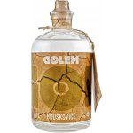 Golem Hruškovice 40% 1 l (holá láhev) – Zboží Dáma