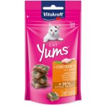 Vitakraft Cat Yums Kuře & kočičí tráva 40 g – Hledejceny.cz