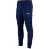 Pánské tepláky Puma kalhoty teamRISE Poly Training pants 65739006