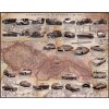 Nástěnné mapy Československé automobily 1918 - 1992, nástěnná mapa 150 x 120 cm, lamino + očka