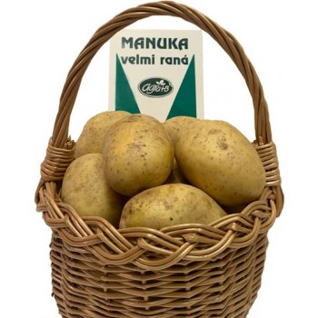 Sadba brambor MANUKA (pytel 25kg)