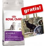 Royal Canin Persian Kitten 2 x 4 kg – Hledejceny.cz