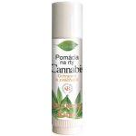 BC Bione Pomáda na rty Cannabis 5 ml – Zboží Dáma