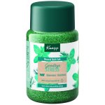 Kneipp sůl do koupele Goodbye Stress 500 g – Zboží Dáma