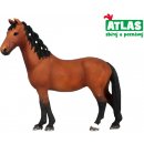  Atlas D Kůň