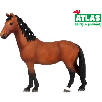 Atlas D Kůň