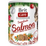 Brit Care Cat Christmas Superfruits 100 g – Hledejceny.cz