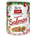 Brit Care Cat Christmas Superfruits 100 g – Sleviste.cz