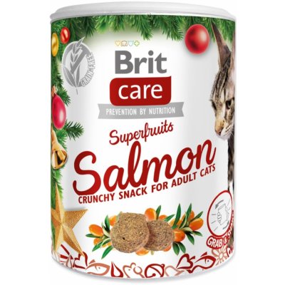 Brit Care Cat Christmas Superfruits 100 g – Hledejceny.cz