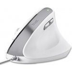 Trust Bayo II Ergonomic Wireless Mouse 25397 – Zboží Živě