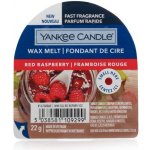 Yankee candle red raspberry vonný vosk do aromalampy 22 g – Hledejceny.cz