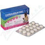 Capraverum Dog probioticum prebioticum 30 tbl – HobbyKompas.cz