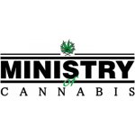 Ministry of Cannabis Cheese NL semena neobsahují THC 2 ks – Zboží Dáma