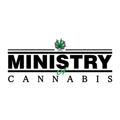 Ministry of Cannabis AUTO Ducci semena neobsahují THC 5 ks – Zboží Mobilmania