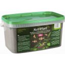 Diversa Nutriplant 10 l