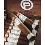 Plasencia Reserva Original Robusto – Zboží Dáma