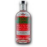 Absolut Watermelon 38% 0,7 l (holá láhev) – Zboží Mobilmania