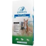 Energys Krmivo koně Vojtěškové granule 25 kg – Hledejceny.cz