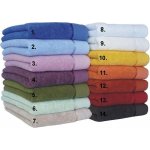 Sleep-well Osuška Star světle šedá 70 x 140 cm – Zboží Dáma Sleep-well Osuška Star světle šedá 70 x 140 cm – Zboží Dáma