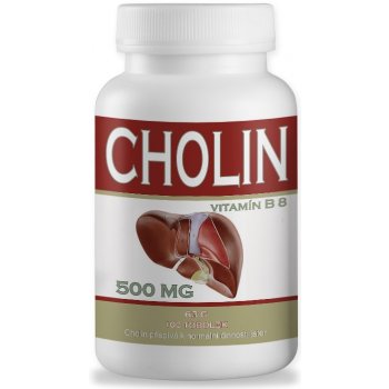 Nutristar Cholin 100 kapslí