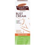 Palmer's Pregnancy zpevňující krém na poprsí pro ženy po porodu Cocoa Butter Formula (Firms & Tones Skin) 125 g – Zboží Dáma