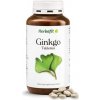 Vitamín a minerál Herbafit BV Ginkgo Biloba s Hořčíkem 400 tablet