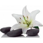 WEBLUX 3953050 Samolepka fólie madonna lily and spa stone madonna lily a lázeský kámen rozměry 200 x 144 cm