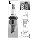 BRISK zapalovací svíčka L10S řada Silver Racing – Hledejceny.cz