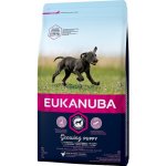 Eukanuba Puppy & Junior Large Breed 3 kg – Hledejceny.cz