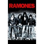 Ramones - Band (vlajka) – Hledejceny.cz