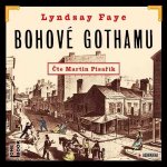 Bohové Gothamu - Fayeová Lyndsay - čte Martin Písařík – Hledejceny.cz