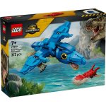 LEGO® Jurassic World 77977 Dinosauří mládě: Pteranodon – Hledejceny.cz
