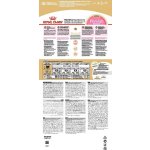 Royal Canin Persian Kitten 2 x 10 kg – Hledejceny.cz