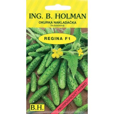 ING. B. HOLMAN Okurka nakl. Holman - Regina F1 hr 2,5 g