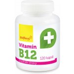 Wolfberry Vitamín B12 120 kapslí – Hledejceny.cz