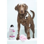 Wahl Clean and calm 750 ml – HobbyKompas.cz