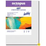 Octopus malířské plátno 18 x 24 cm – Zboží Mobilmania