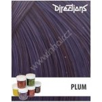 La Riché Directions 10 Plum 89 ml – Hledejceny.cz