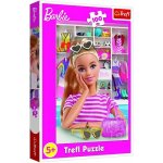 Trefl Seznamte se s Barbie 41x27,5cm 100 dílků – Hledejceny.cz